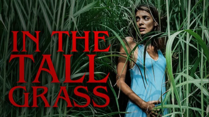 In the Tall Grass