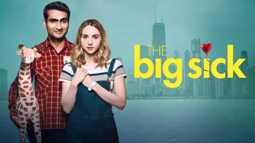 The Big Sick (2017)